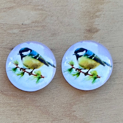 Glass Cab - Round - Yellow-Belly Tit