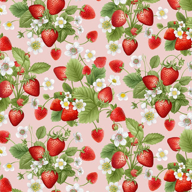 Cotton Fabric - Strawberries Bouquet - Pink