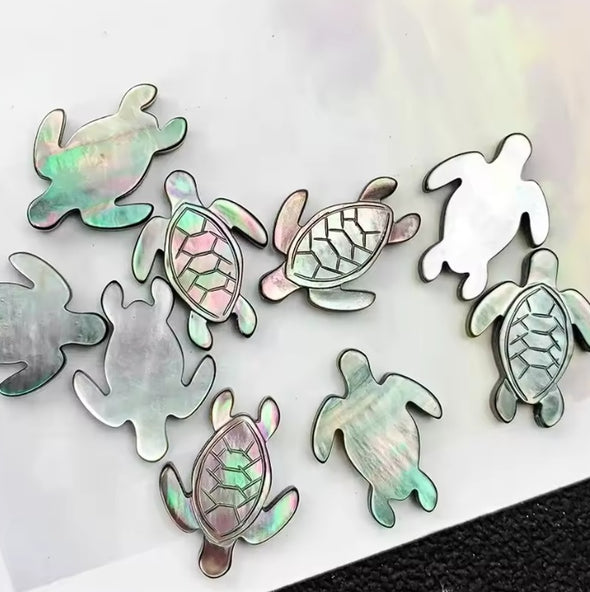 Shell Cab - Black Lip Shell - Turtles