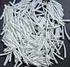 White Dentalium Shells - Smooth