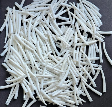 White Dentalium Shells - Smooth