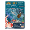 Magnetic Activity Board - Animals of the Salish Sea - In the Ocean